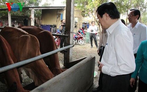 President extends Tet greetings in Cu Chi district - ảnh 2